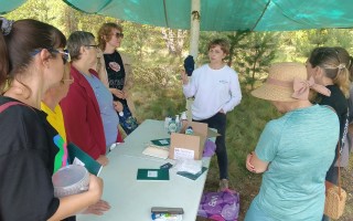 Этнопарк Артания Рязань