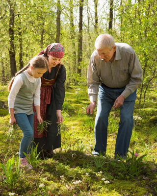 Фитопрогулки